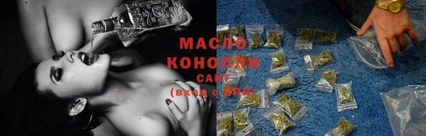 стаф Кодинск