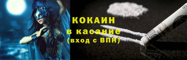 стаф Кодинск