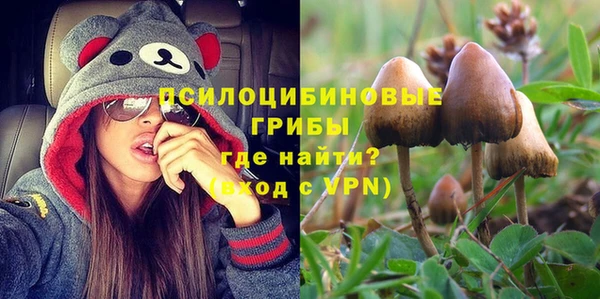 стаф Кодинск