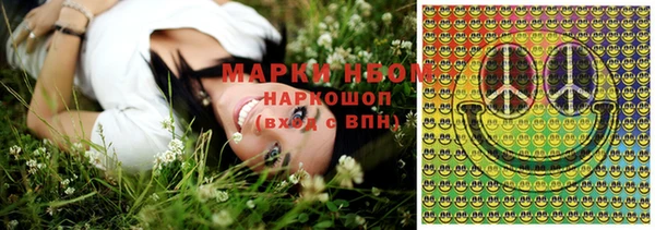 стаф Кодинск