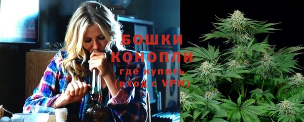 стаф Кодинск