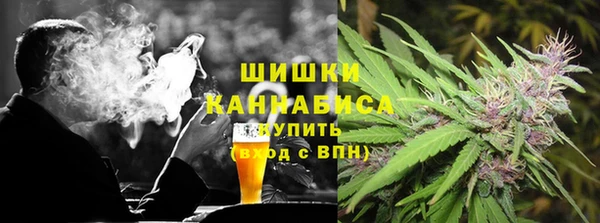 стаф Кодинск