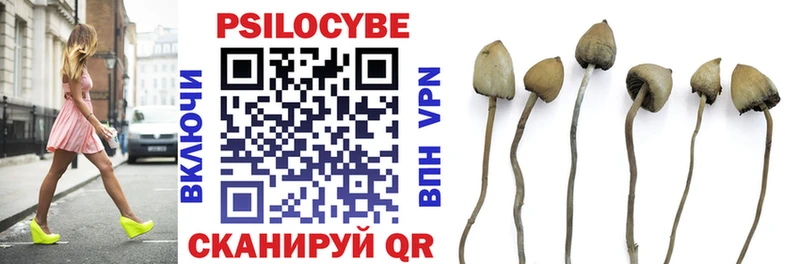 Купить  Белово  Псилоцибиновые грибы Cubensis 